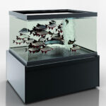Аквариум Missouri NC 120 aquarium для продажи живой рыбы Hitline