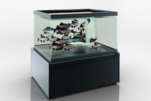 Аквариум Missouri NC 120 aquarium для продажи живой рыбы Hitline